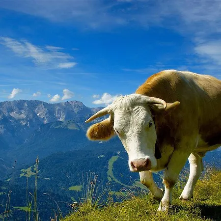 Lakeside 29 Zell Am Apartmán Zell am See