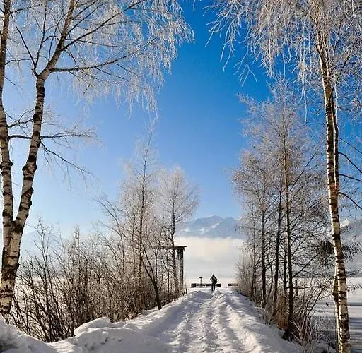 Lakeside 29 Zell Am アパート *