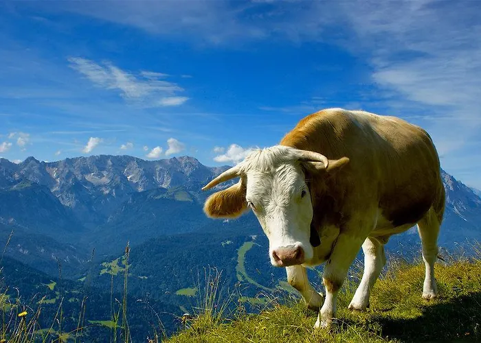 Lakeside 29 Zell Am アパート ツェル アム ゼー